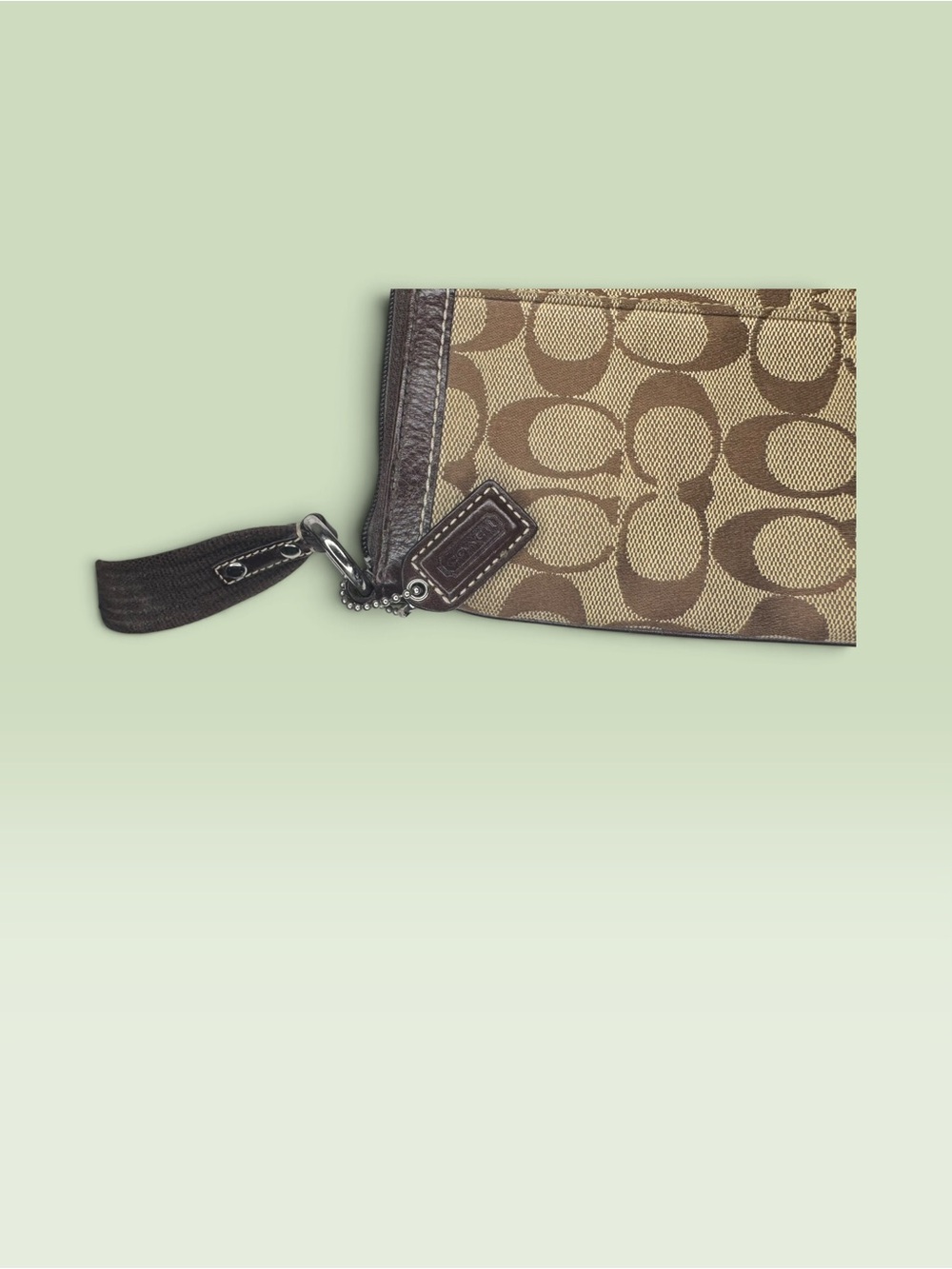 Coach Signature Stripe Swingpack - Picture 11 of 11